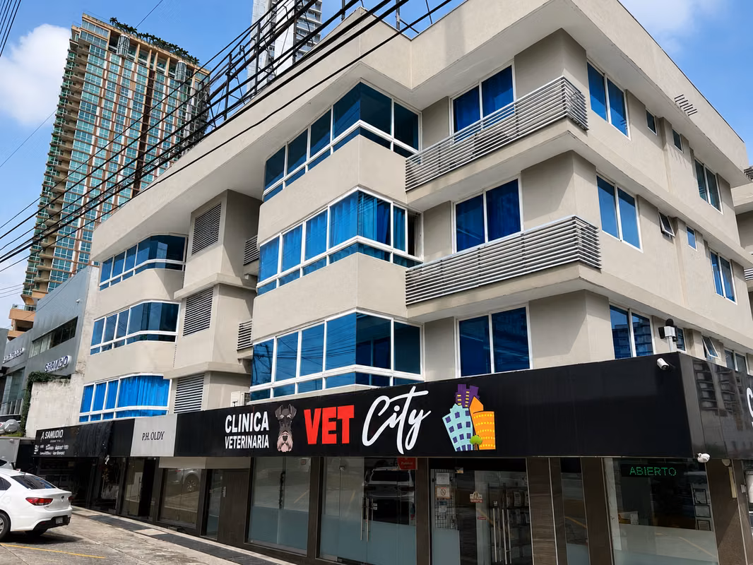 Apartamento de 3 recamaras en Coco del Mar y Calle 50 Final - foto 1