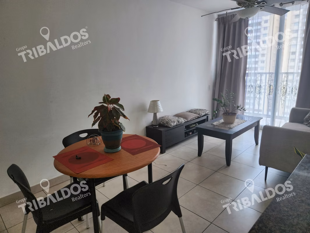 Venta de Apartamento en PH Alai, Vía España - photo 1