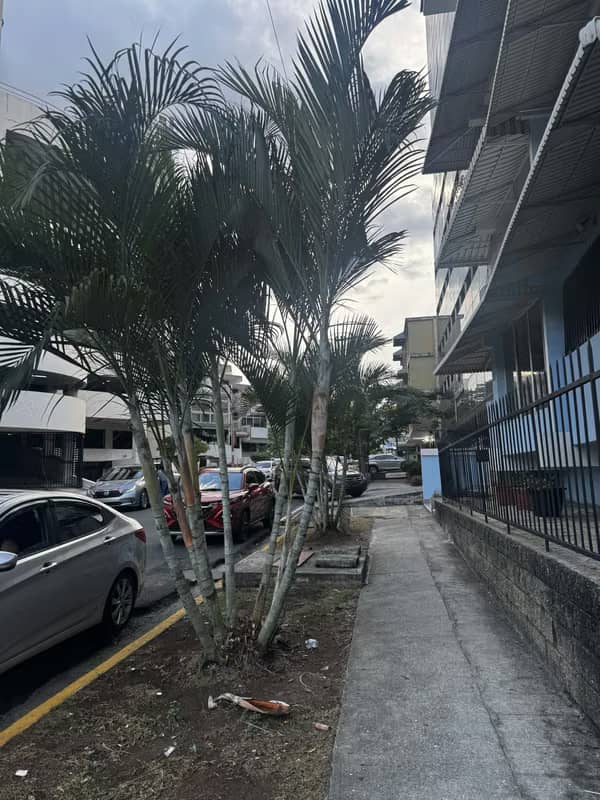 OBARRIO apto  antiguo 85mts2 sin amoblar 2recs No balcon - foto 1