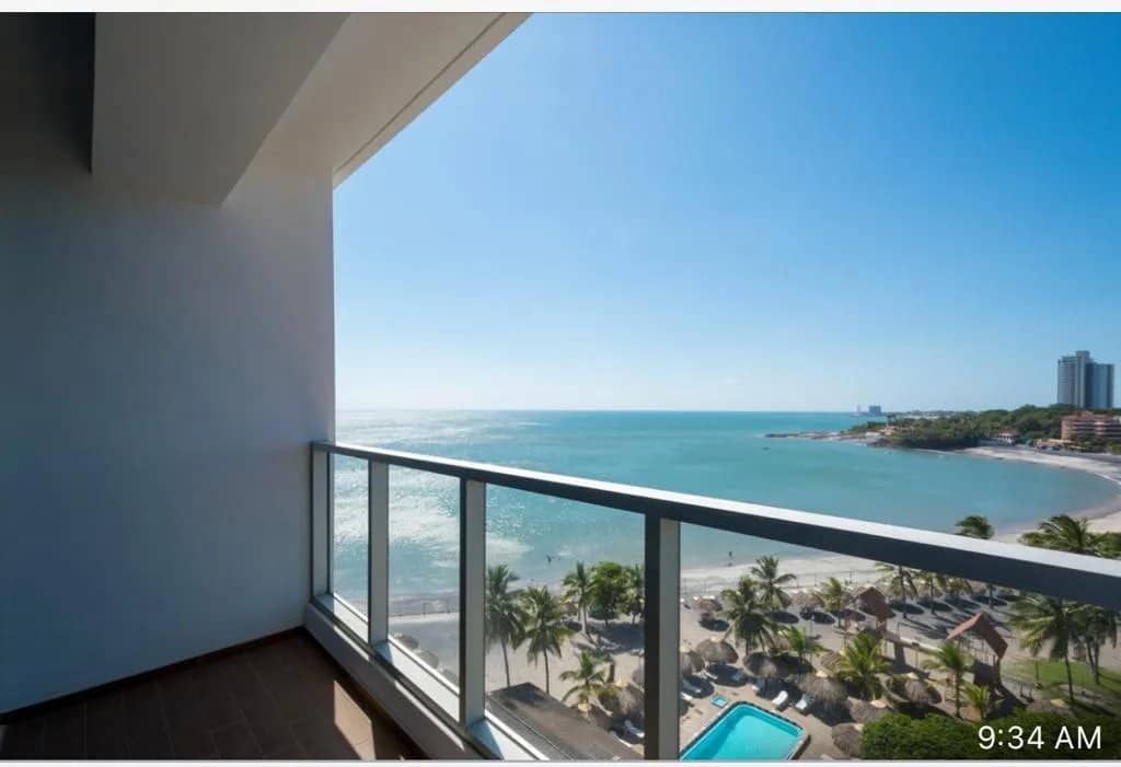 ROYAL PALM - foto 1