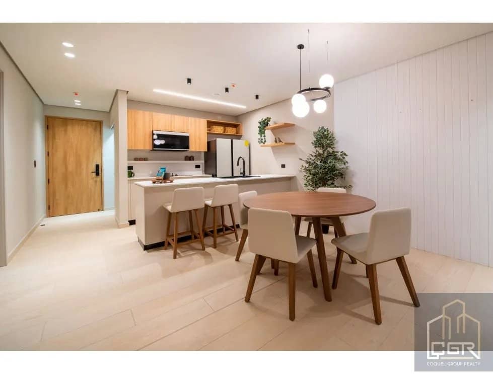 VENTA DE APARTAMENTO EN PH PINOALTO BOQUETE - foto 1