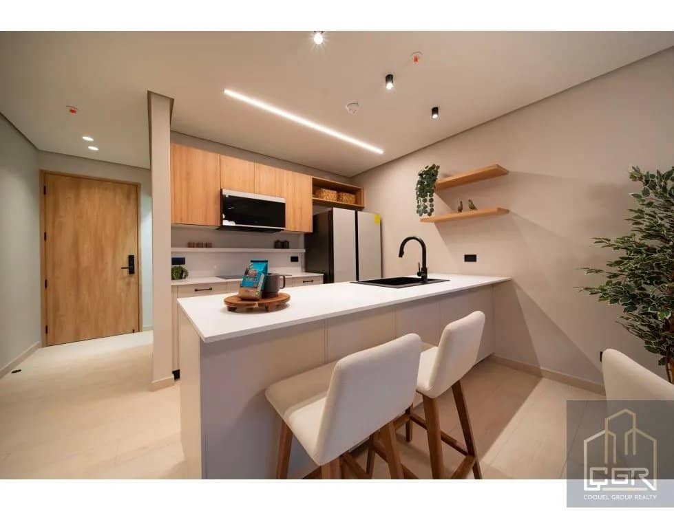 VENTA DE APARTAMENTO EN PH PINOALTO BOQUETE - foto 1