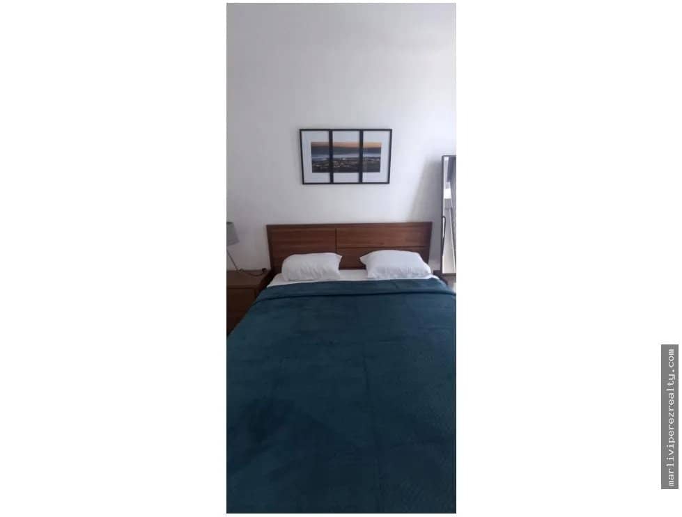Alquiler de Apartamento en Avenida Balboa - foto 1