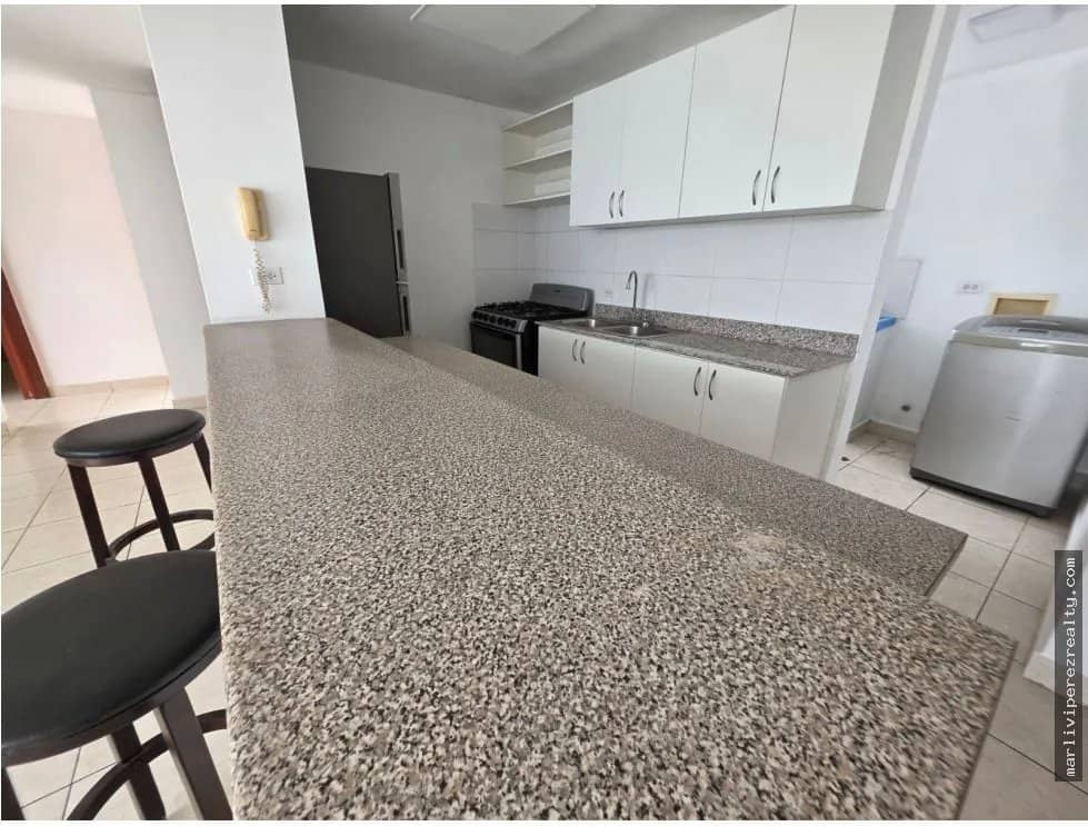 ALQUILER DE APARTAMENTO EN CENTRAL PARK - foto 1