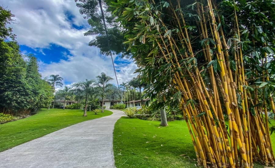 Casas y Propiedades de Inversion en BoqueteVenta - foto 1