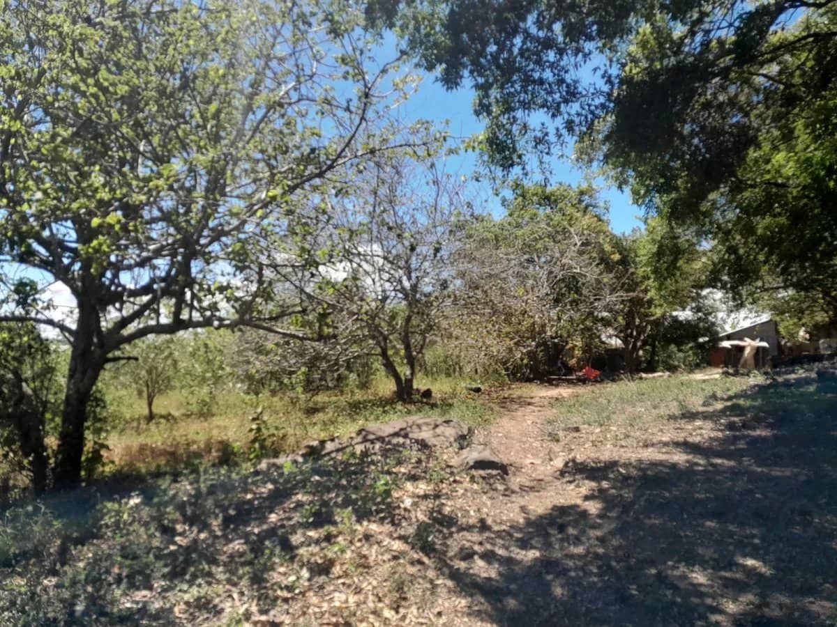 4.8 HAS en Venta Oportunidad de desarrollo excepcional en la zona de la "Eterna Primavera" de Boquete /11.8611 Acres for Sale - Rare Development Oppor - foto 1