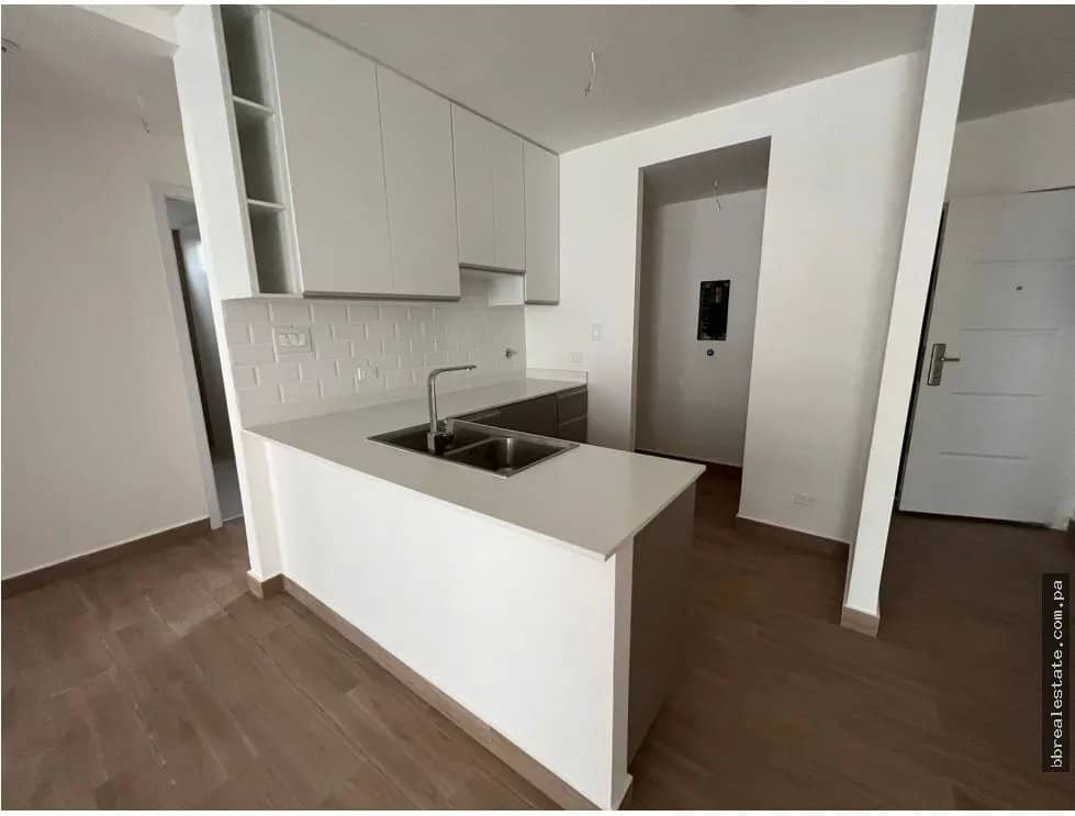Se alquila apartamento en el Cangrejo, PH Sky Swiss Nuevo - foto 1