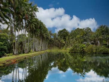 Finca residencial de 3,69 hectareas con lagos, rio y bosque. - foto 1