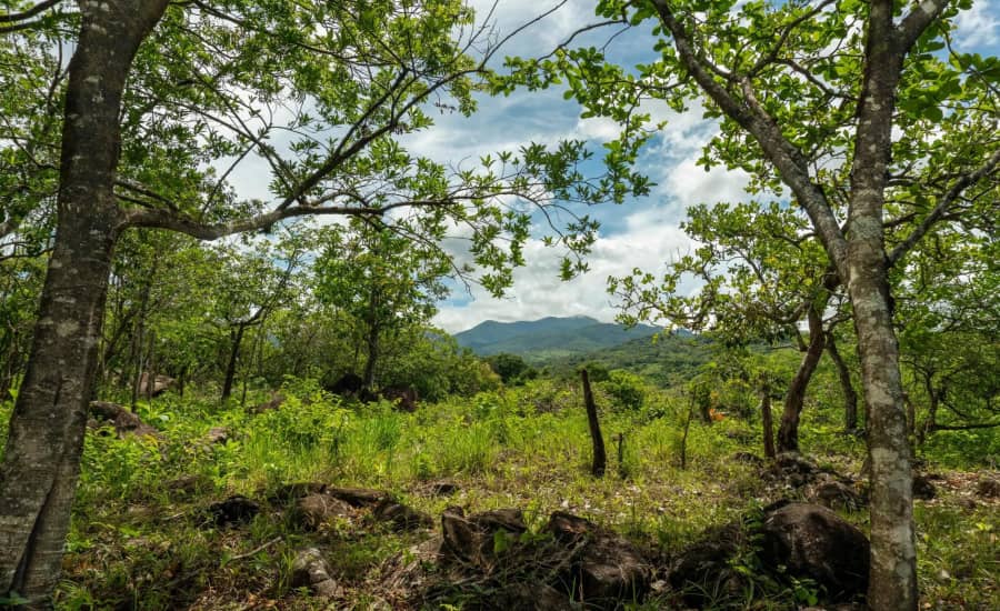 Caldera Cerca De Boquete Tierra De PanamaVenta - photo 1